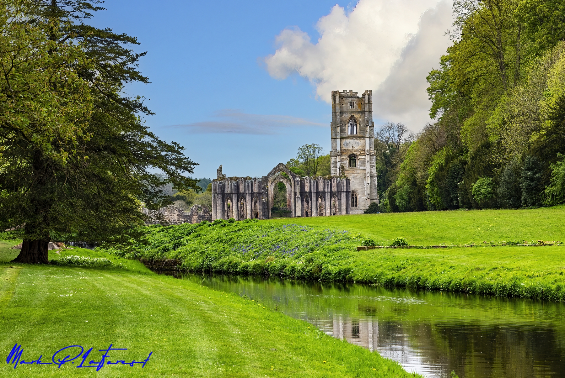 /gallery/west_europe/UK/Yorkshire/fountains abbey/Fountains Abbey May 2022-027_med.jpg